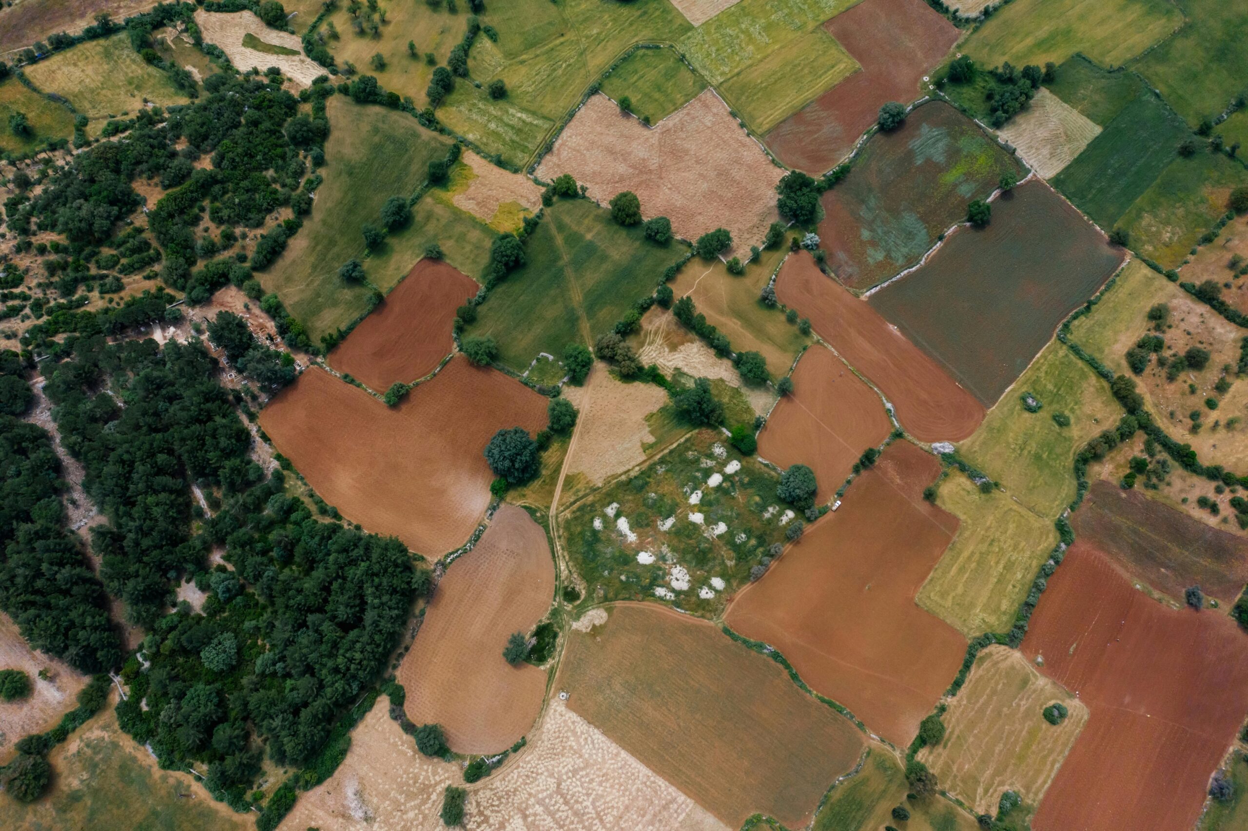 Crop Rotation