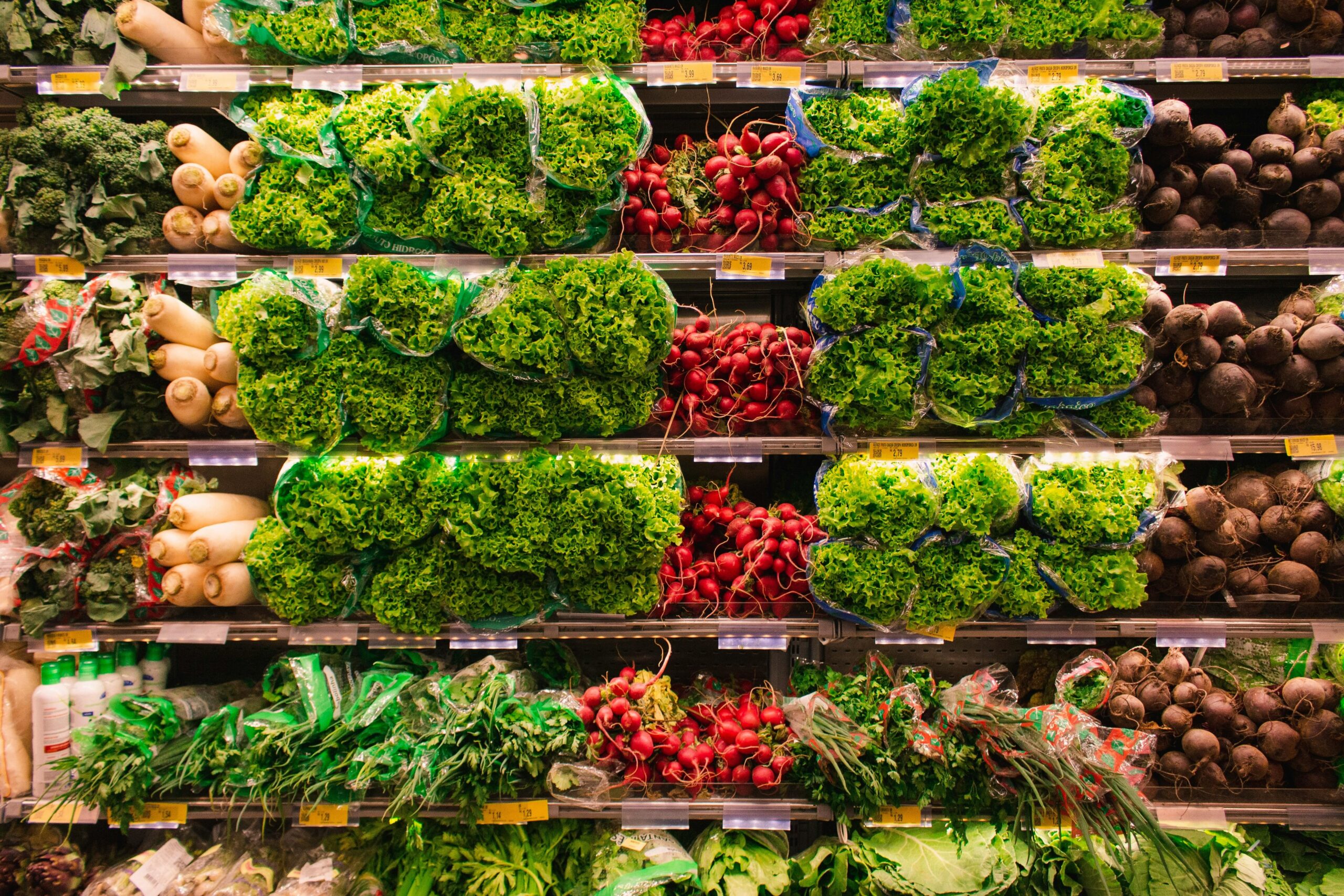 Fresh Organic Greens