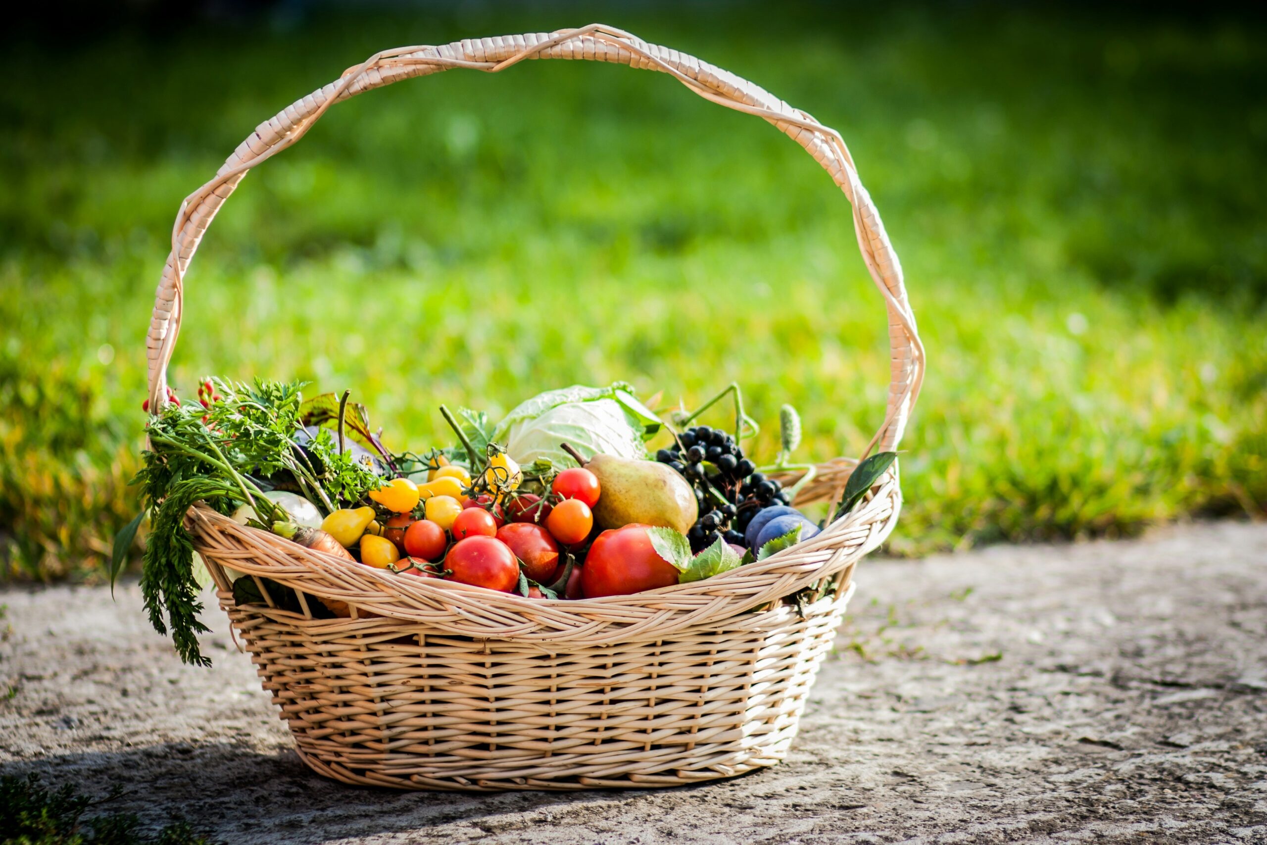 A basket filled with fresh organic vegetables like spinach, carrots, and bell peppers