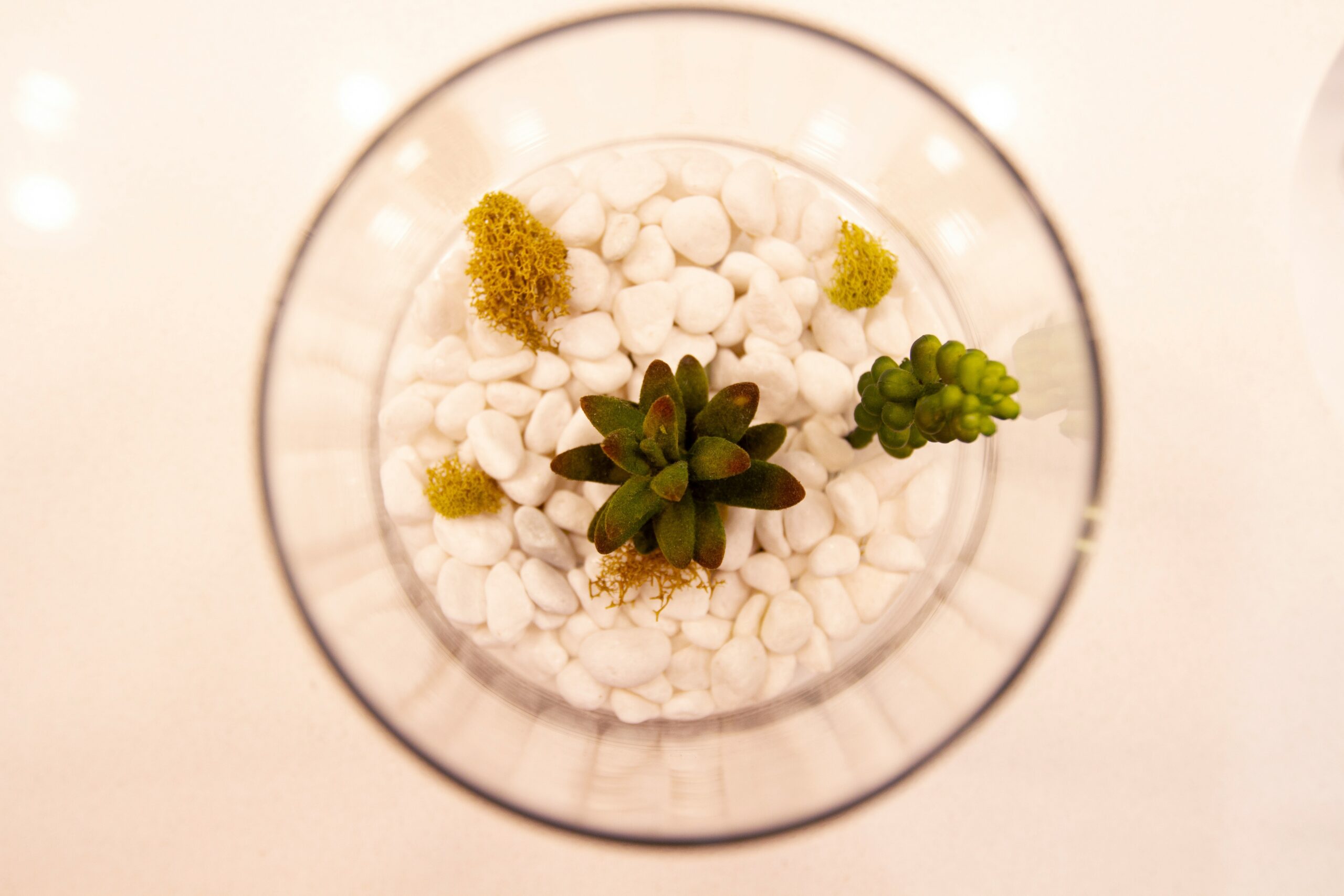 A bowl filled with fresh organic vegetables used in skincare.