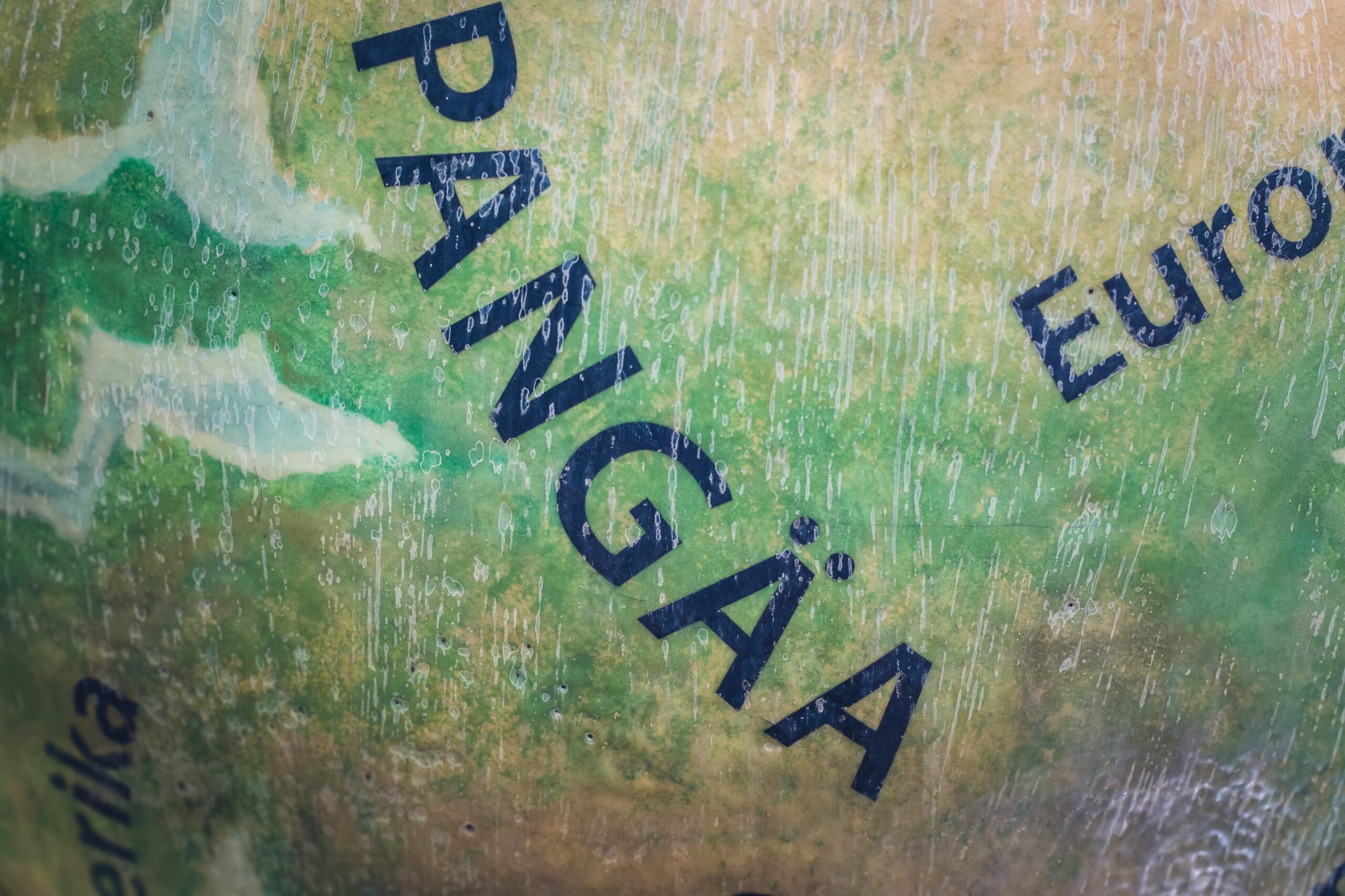 Close-up of a USDA certified organic label sticker