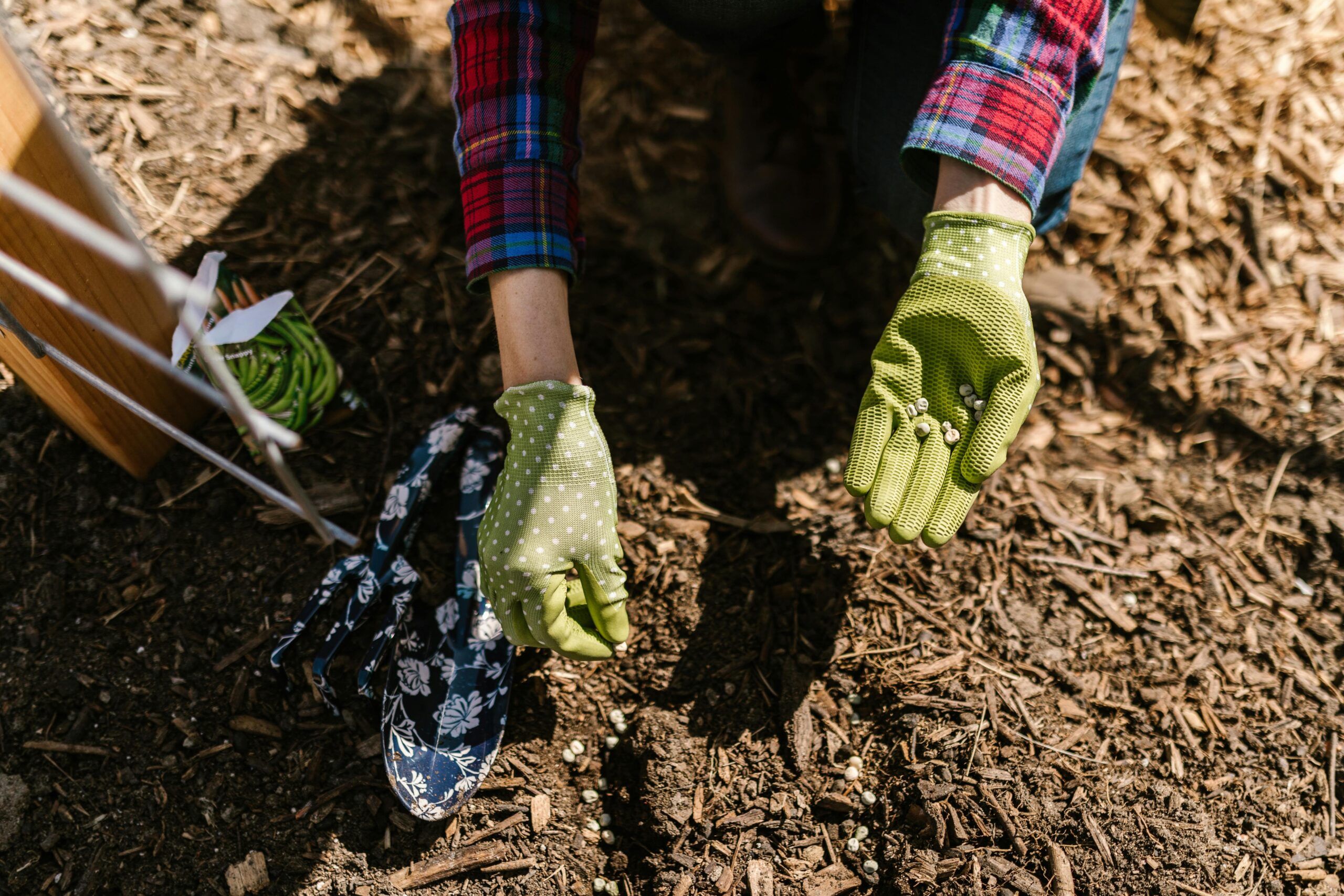 Close-up shot of hands planting seeds in rich, dark soil