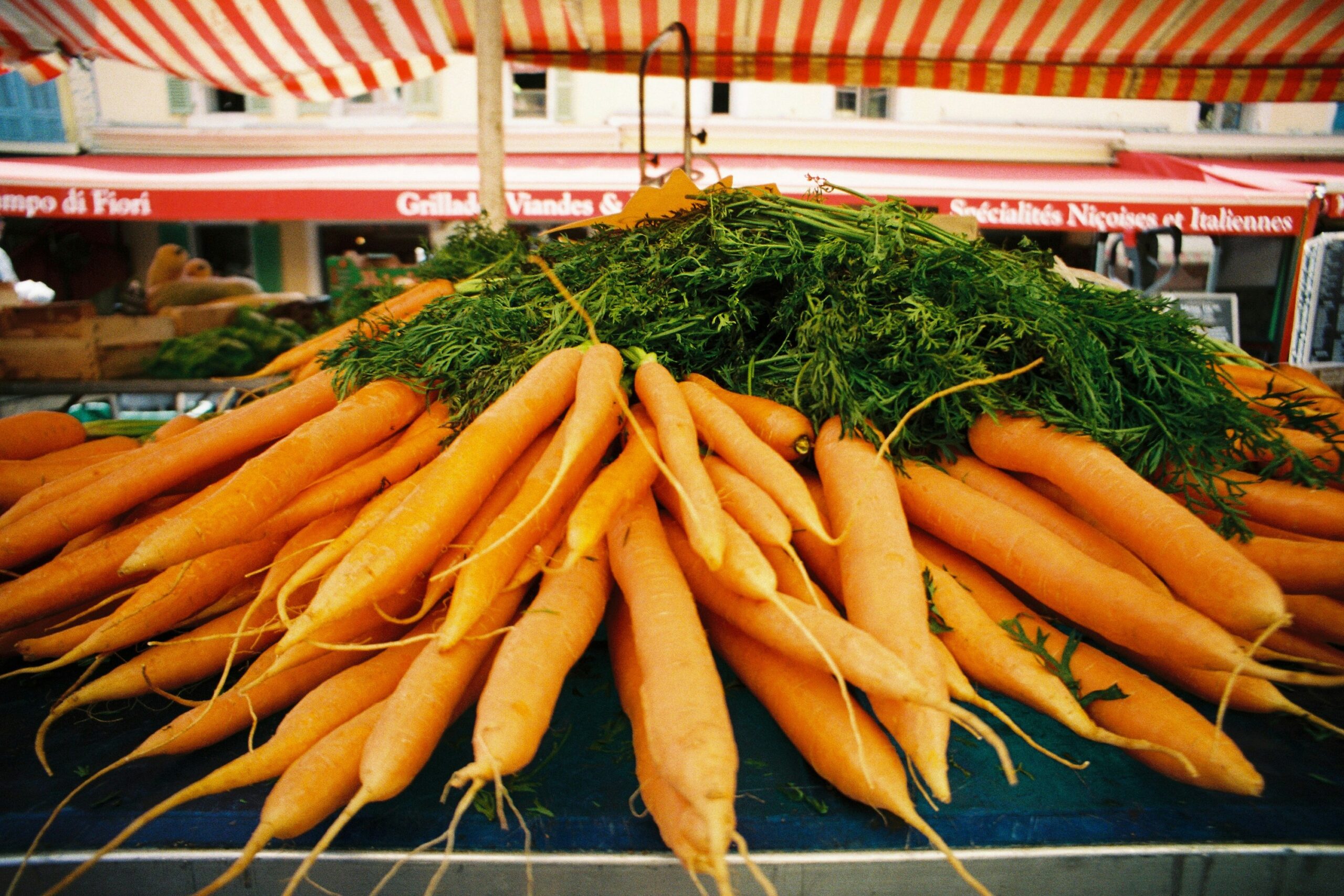 fresh organic vegetables