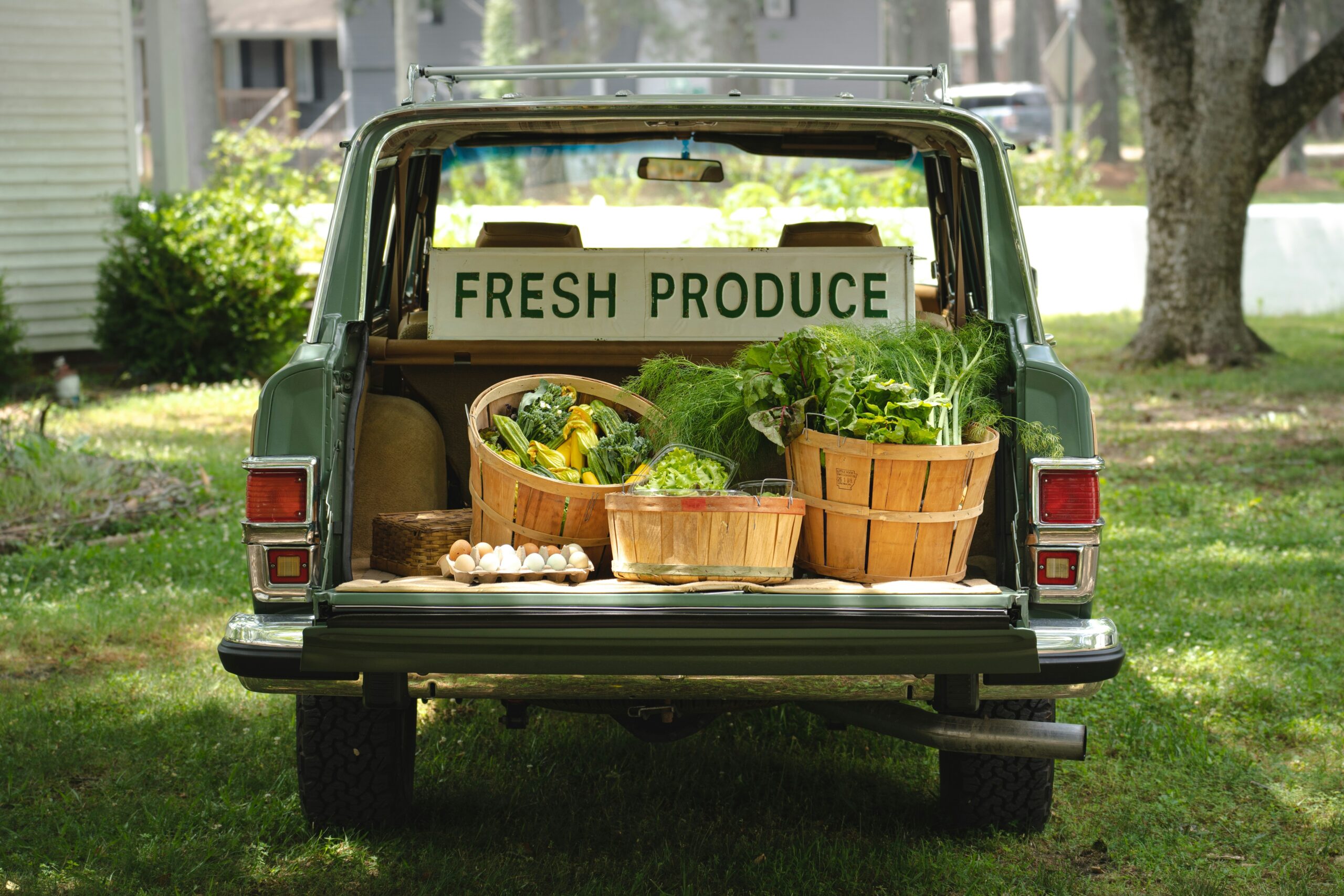 fresh organic vegetables