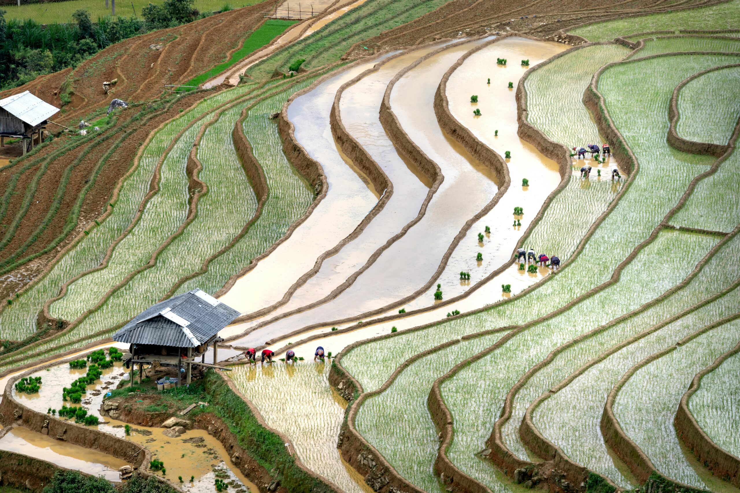 Organic Practices