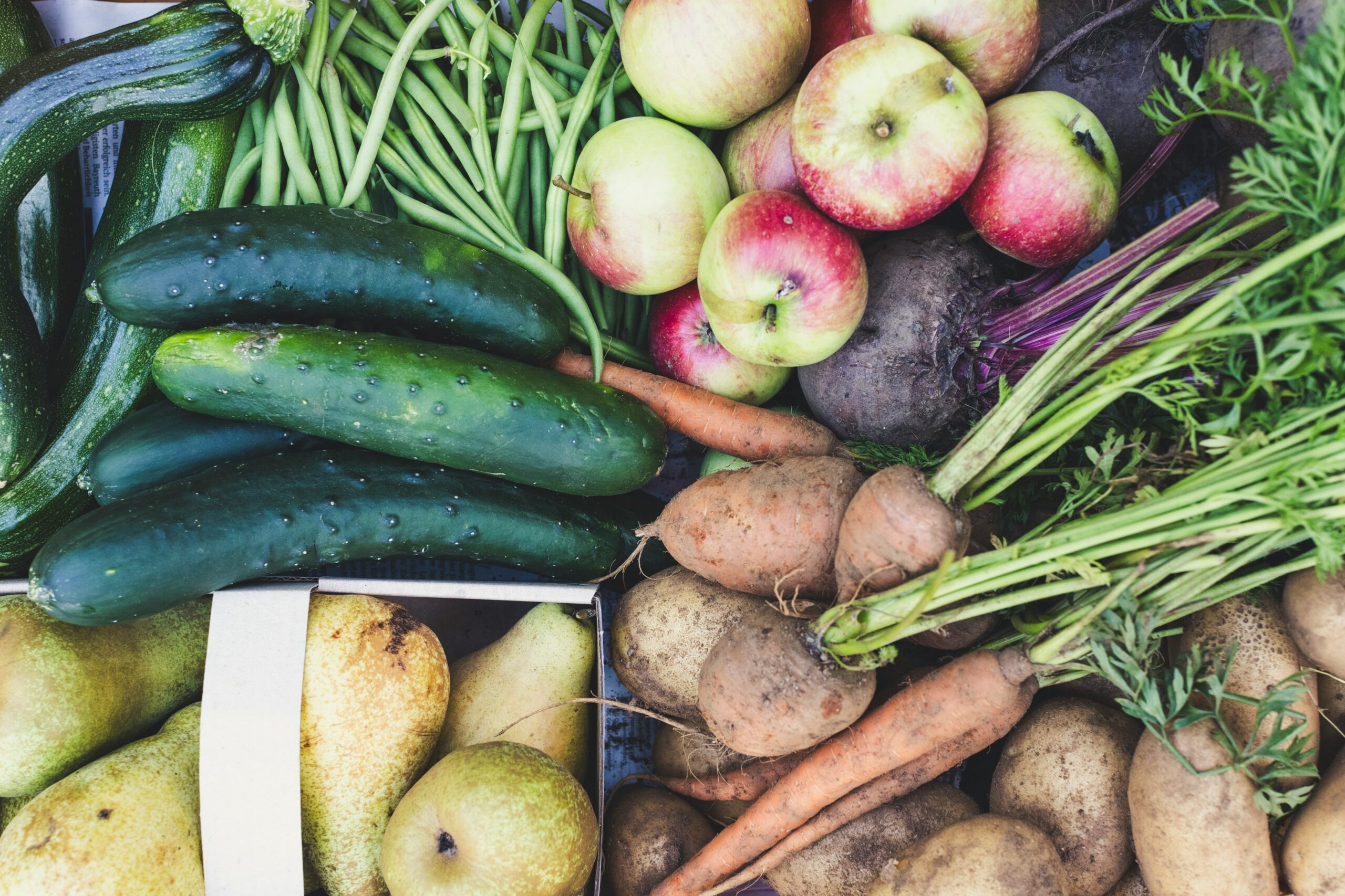 organic vegetable garden