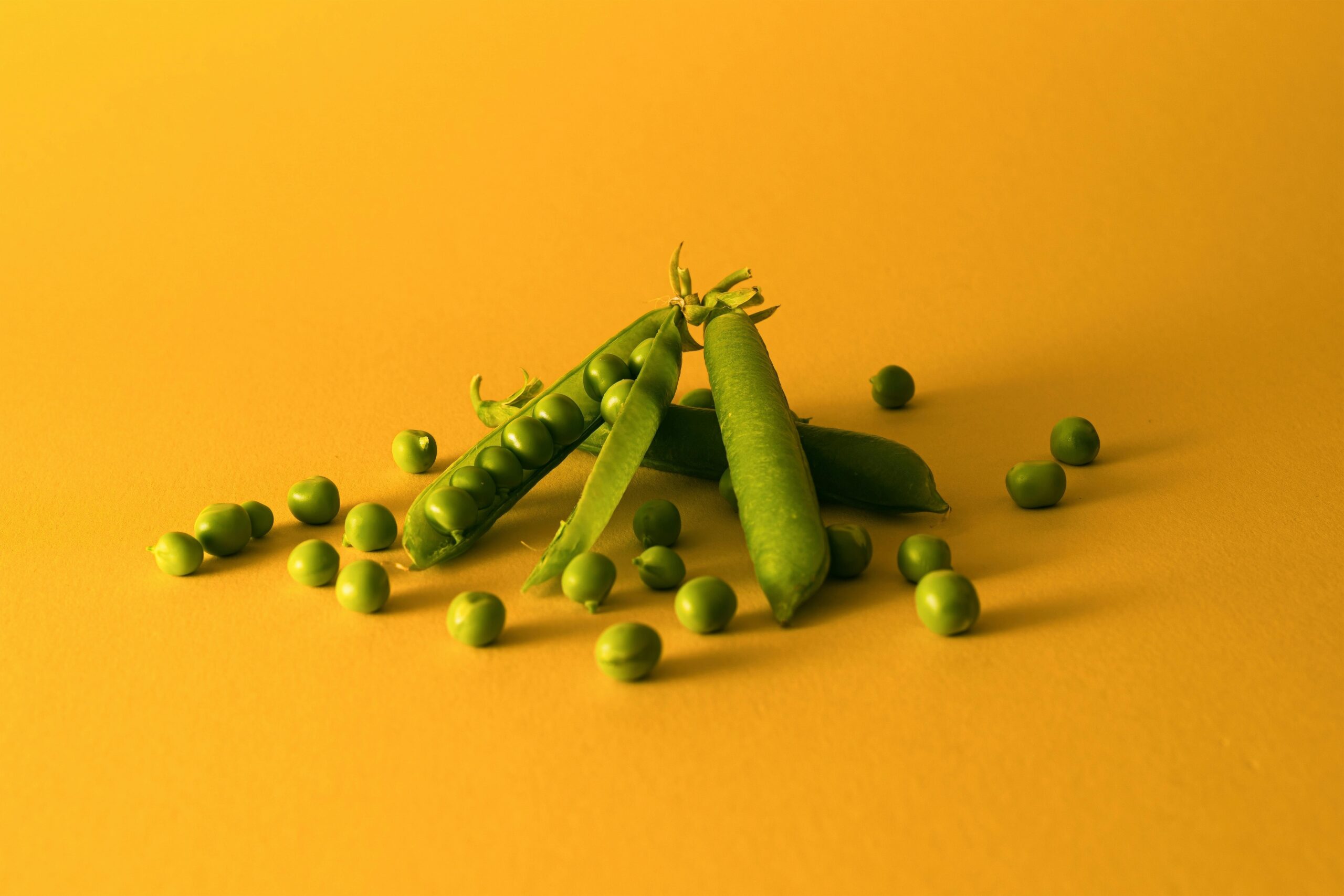 Plant-Based Diet