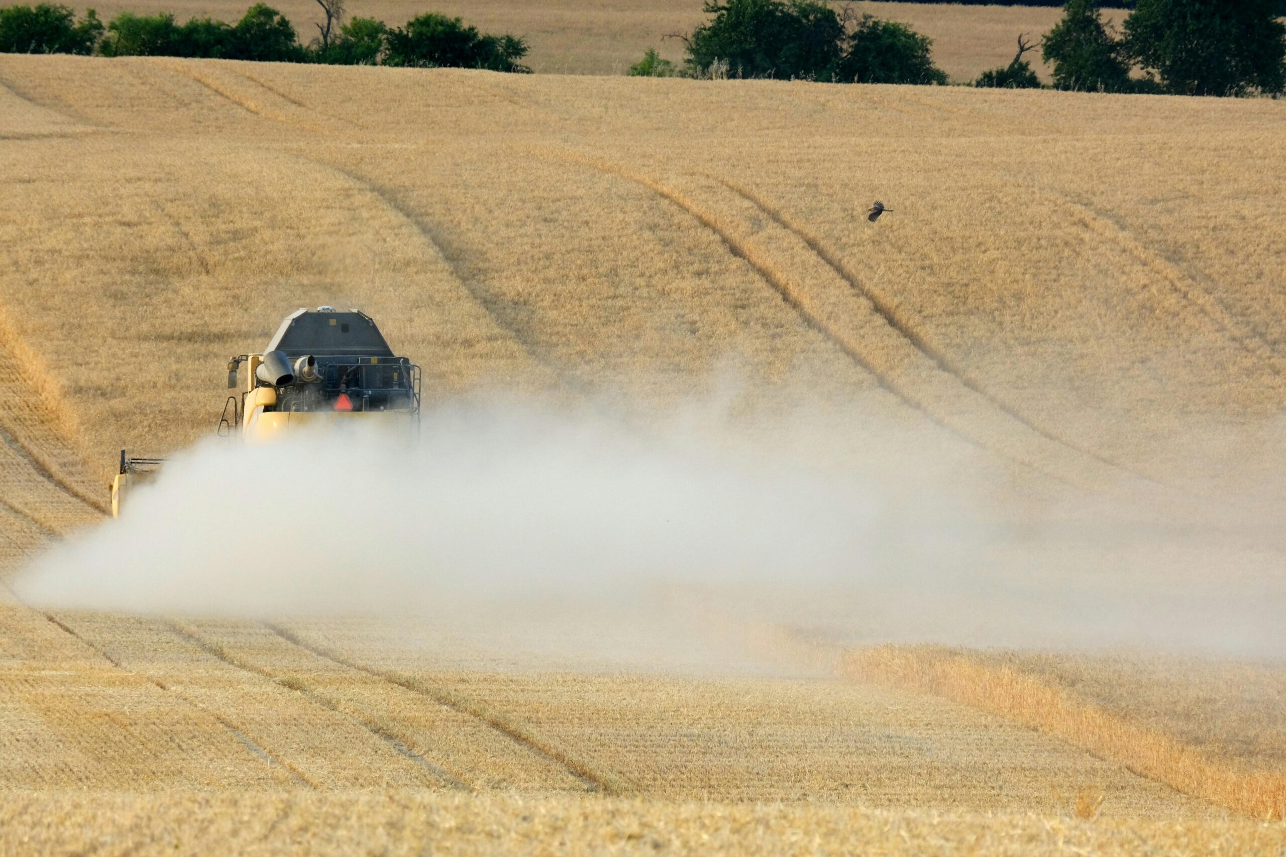 Regenerative Farming