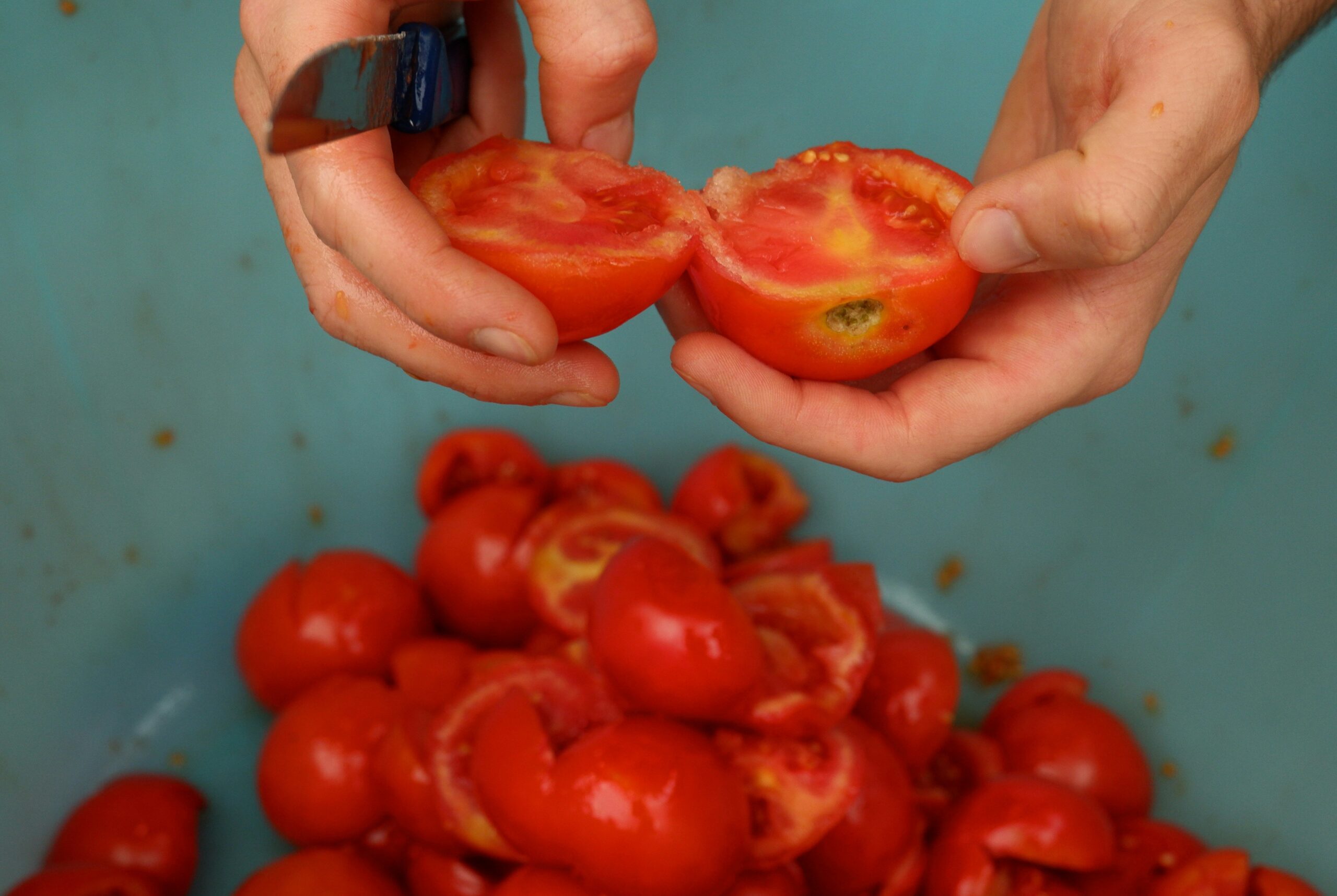 A bowl of mashed organic tomatoes mixed with honey