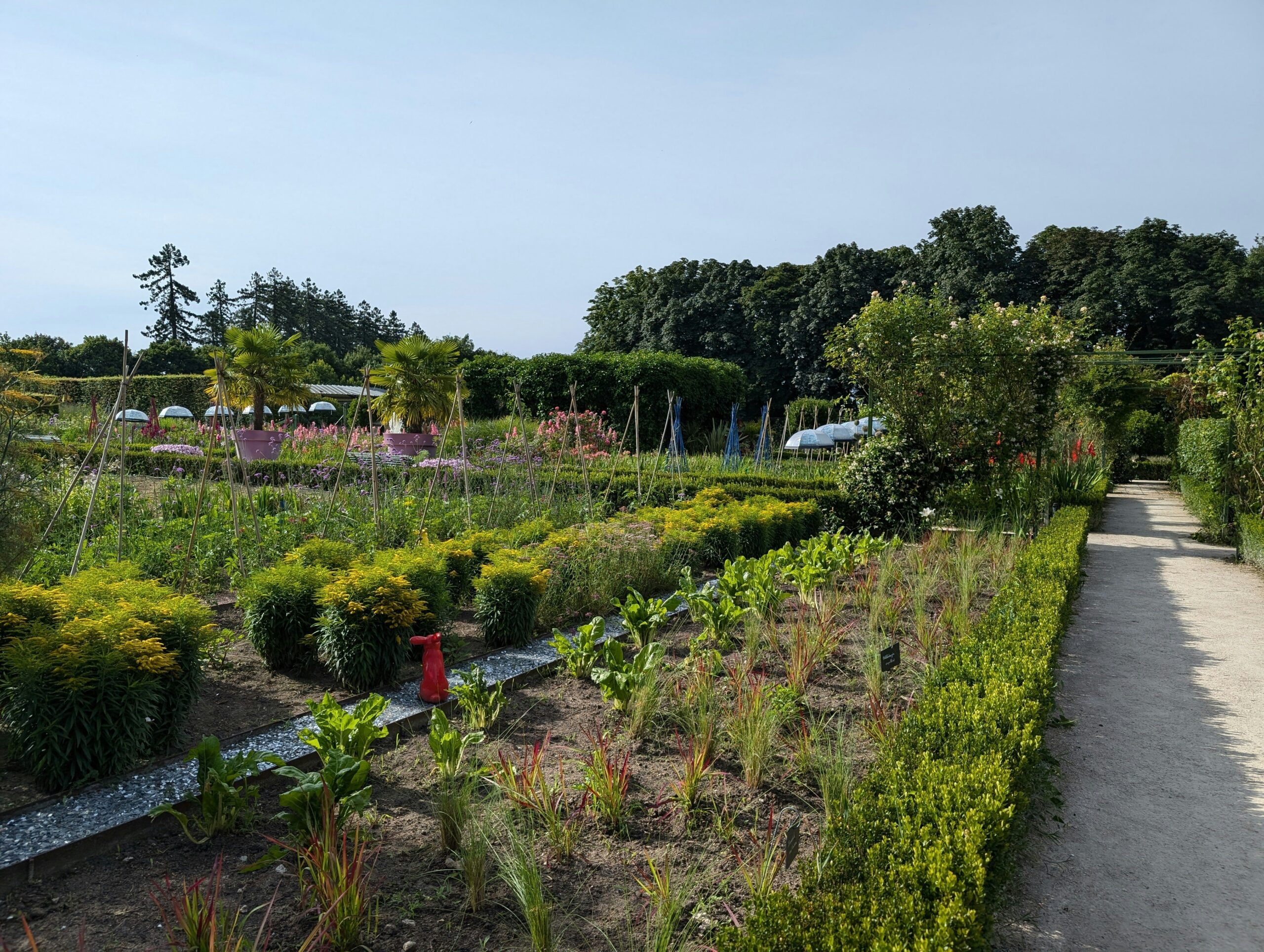 A flourishing organic vegetable garden with no signs of pest damage