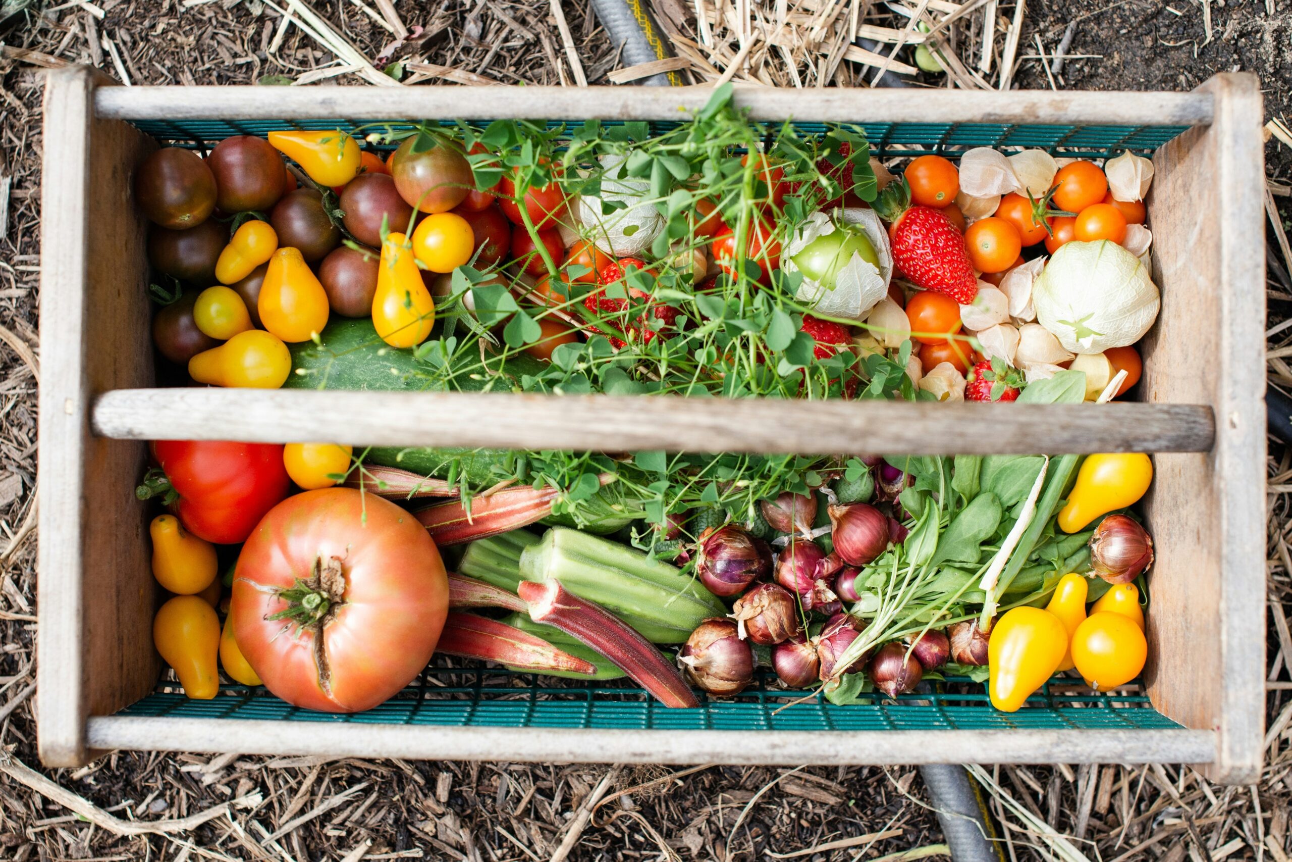 Infographic comparing organic vs non-organic vegetables and their impact on health