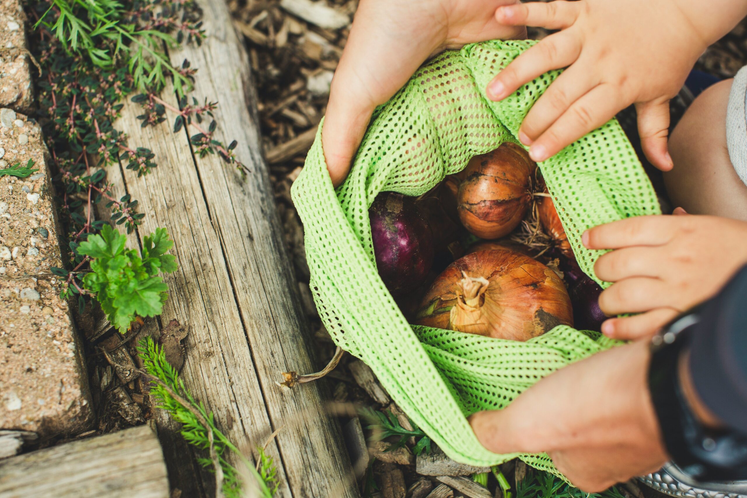 Why Pesticide-Free Produce is Your Skin's Best Friend: A Guide to Organic Beauty