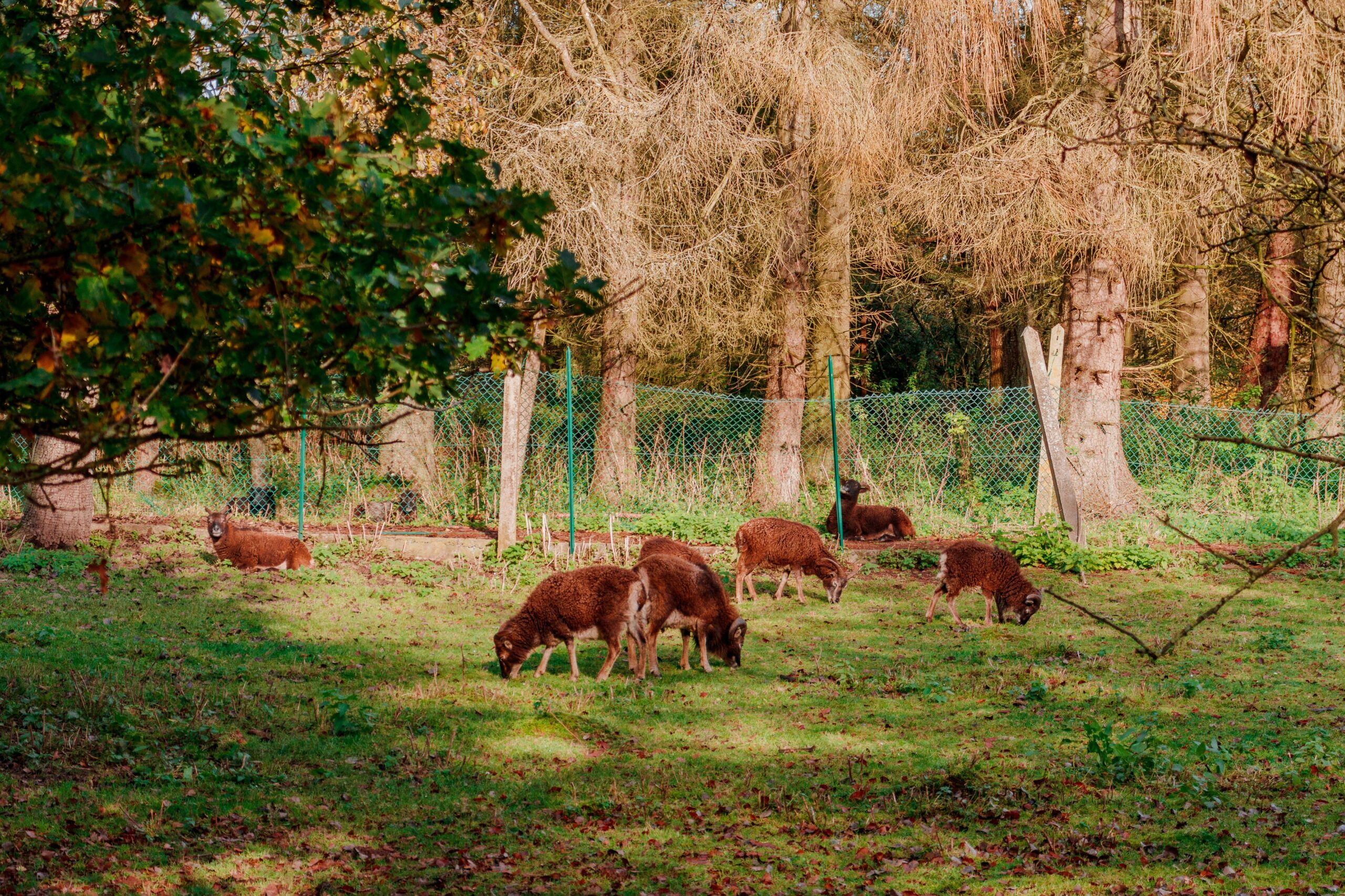 Why Wildlife Friendly Farming is the Secret to Organic Beauty Products