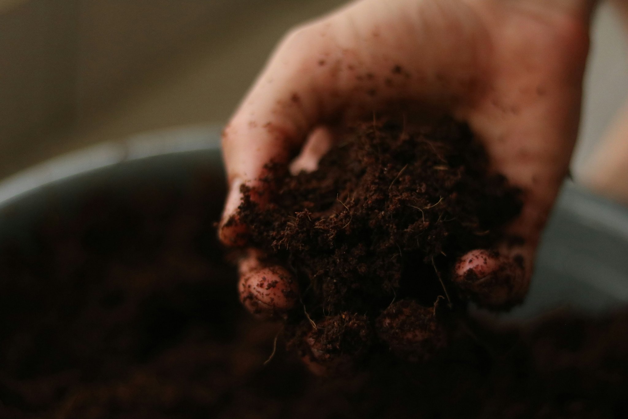 A hand holding rich, dark organic compost against a backdrop of green leaves.