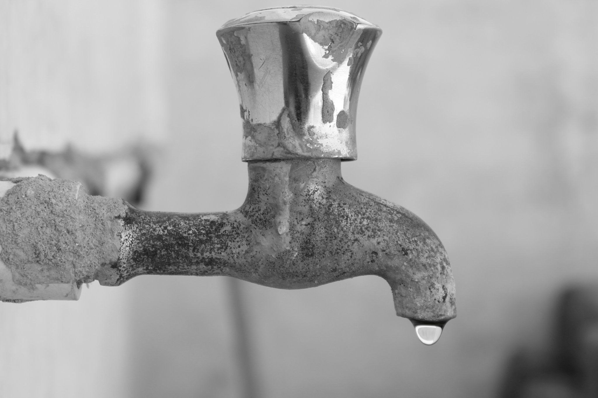 Close-up view of a drip irrigation system delivering water efficiently to vegetable plants