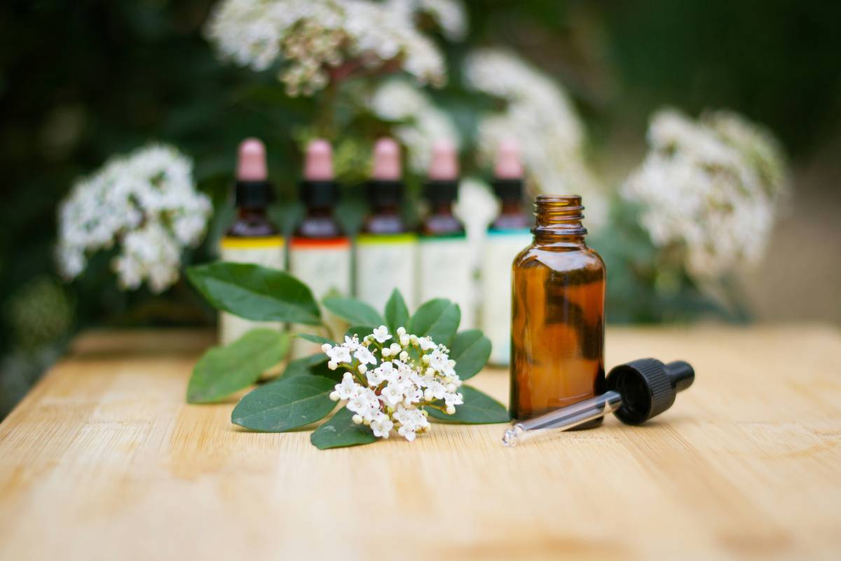 How a Balanced Plant Diet Can Transform Your Organic Beauty Routine