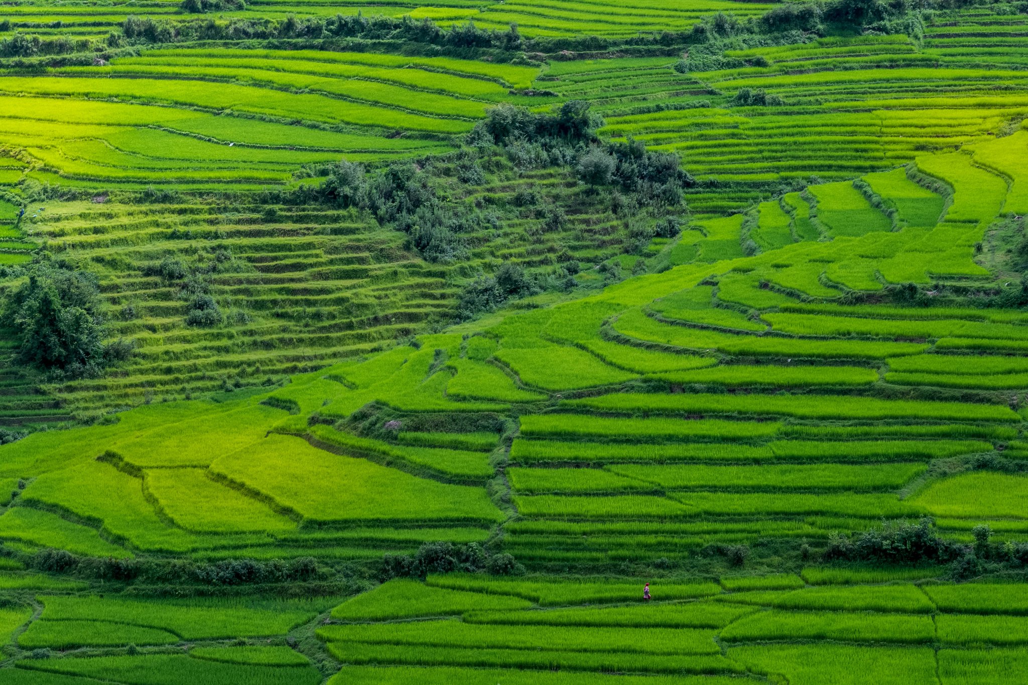 How Sustainable Irrigation Transforms Organic Beauty: Grow Your Glow Naturally