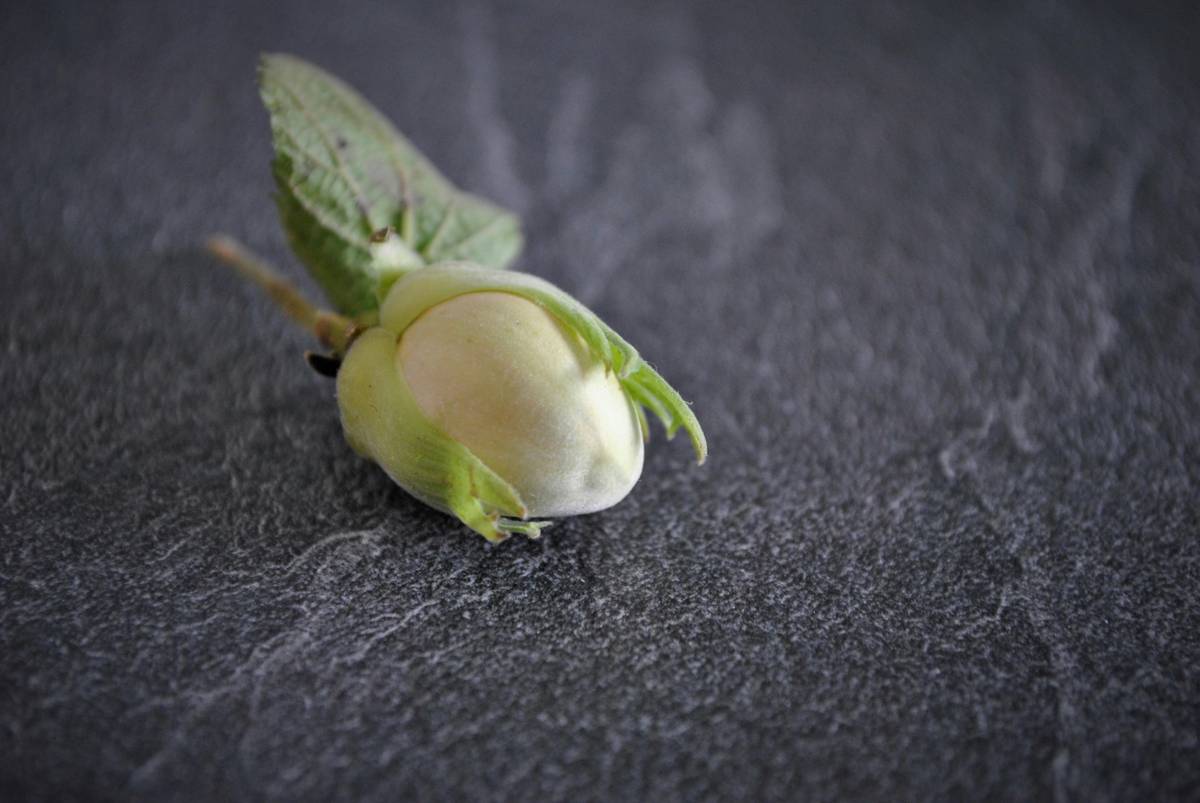 Natural Organic Snacks: Why They’re Your Skin's Best Friend