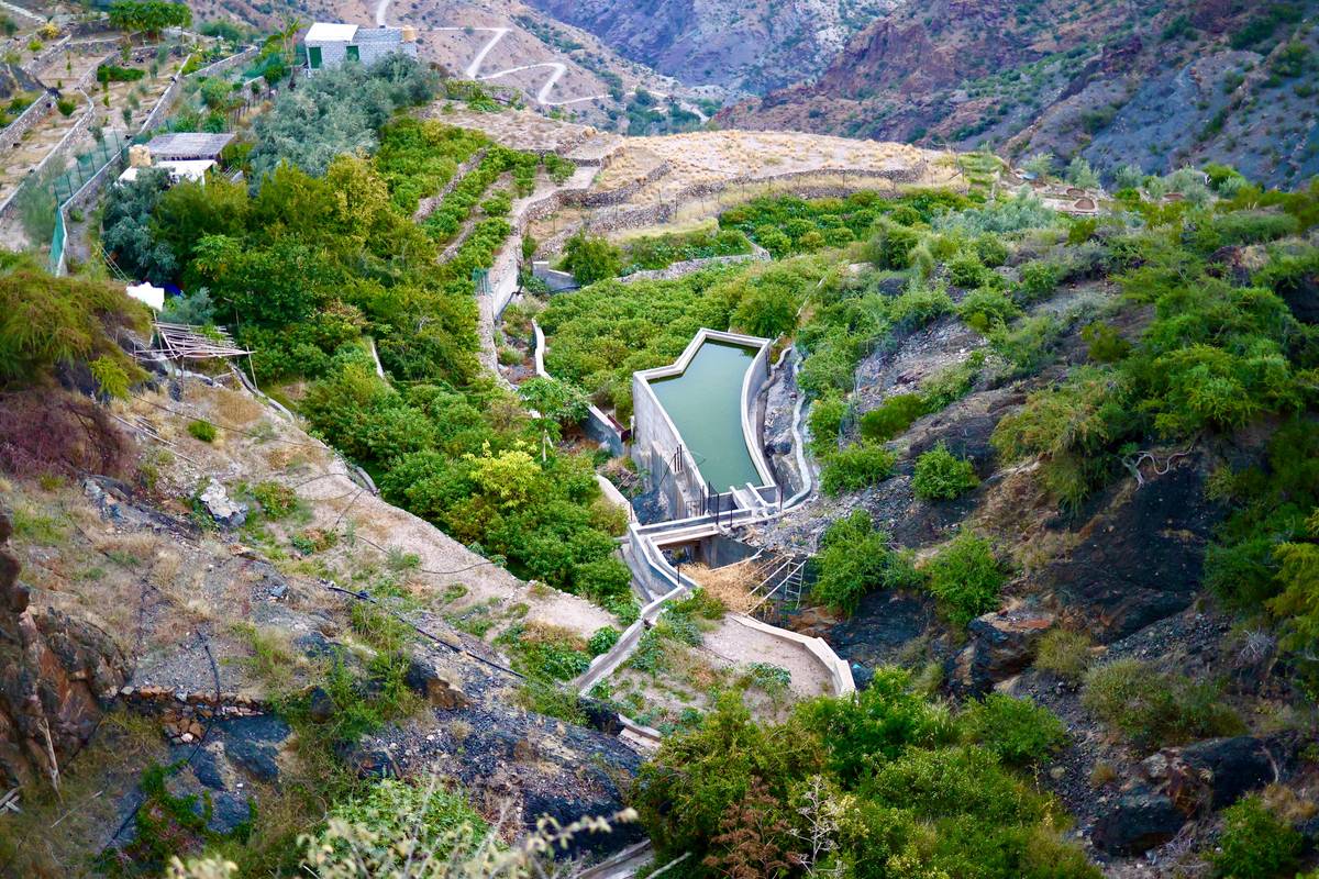 Confusing natural vs chemical skincare product labels