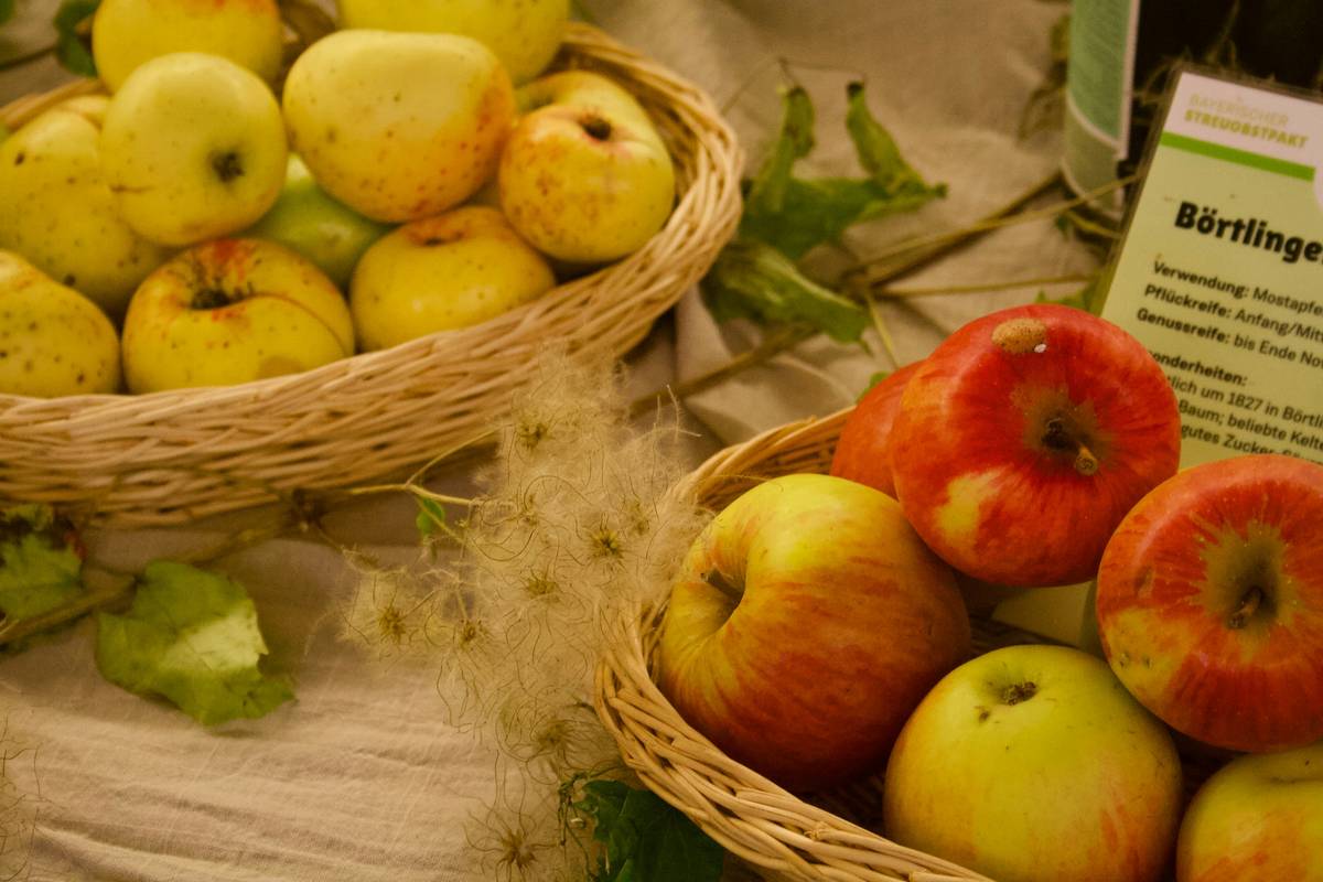 Infographic showing benefits of organic farming for skincare