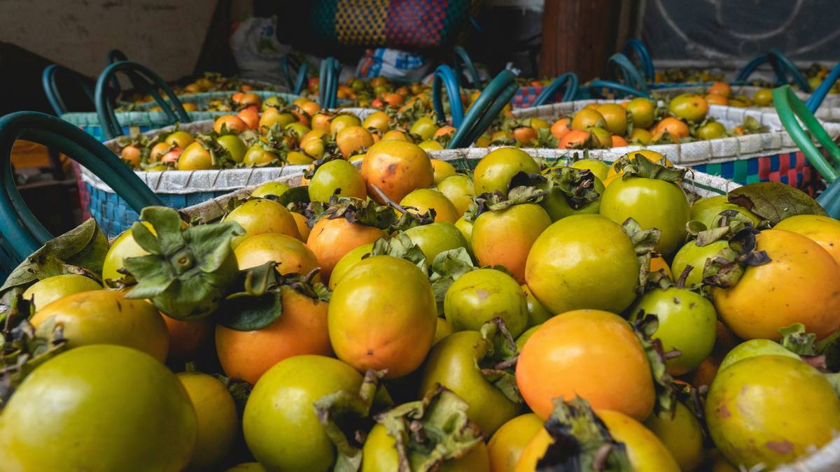 Ladybugs controlling pests in organic vegetable garden