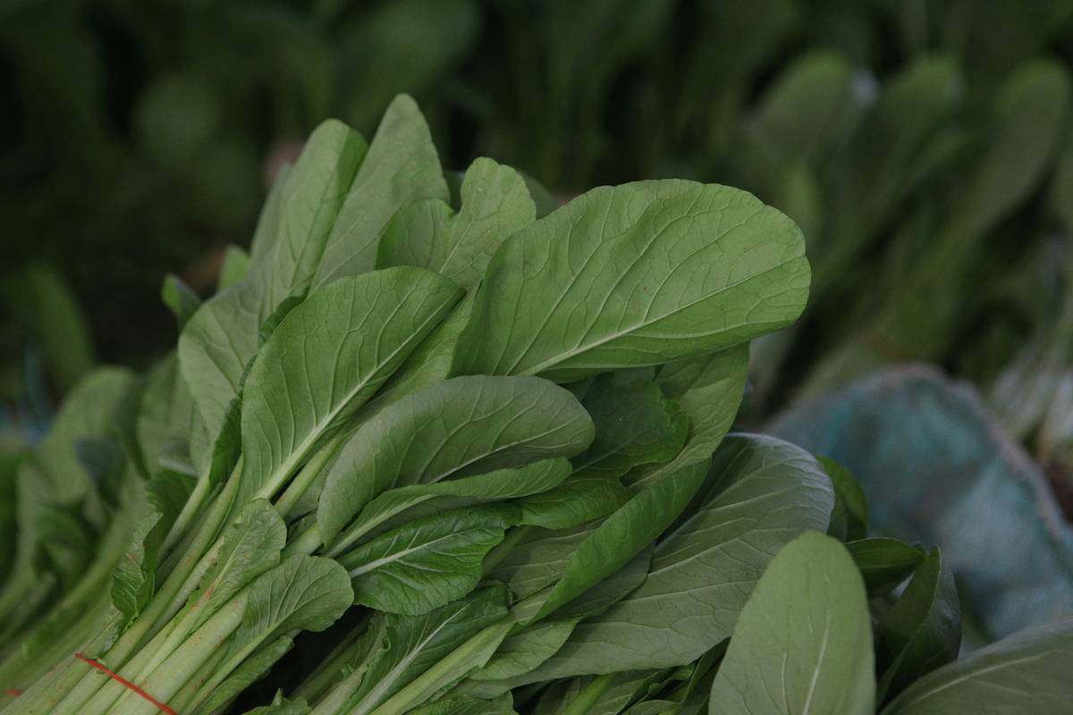Side-by-side comparison of Tina's dull skin before and dewy skin after using spinach treatments.