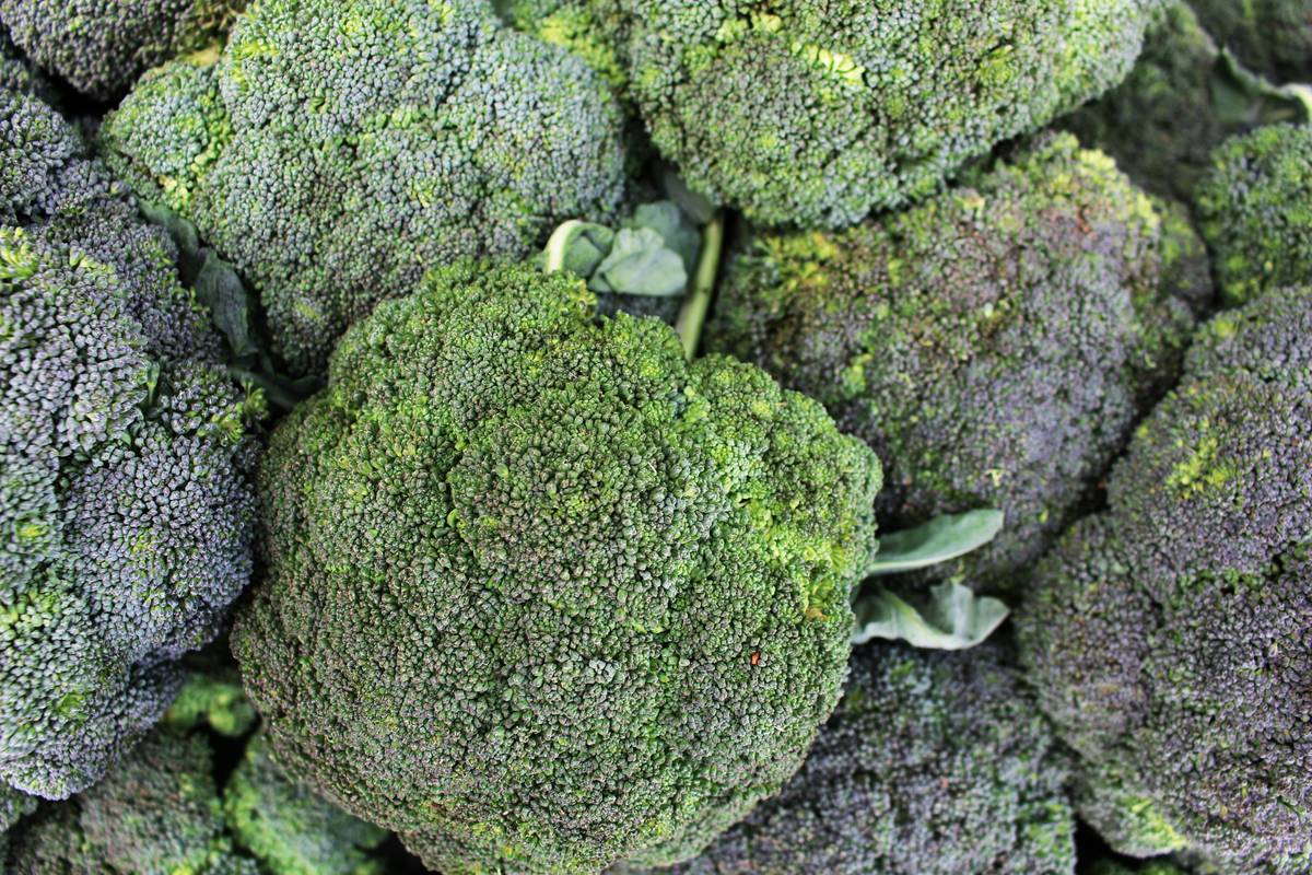 The Secret Skin-Boosting Power of Organic Broccoli: Why You Need It In Your Beauty Routine