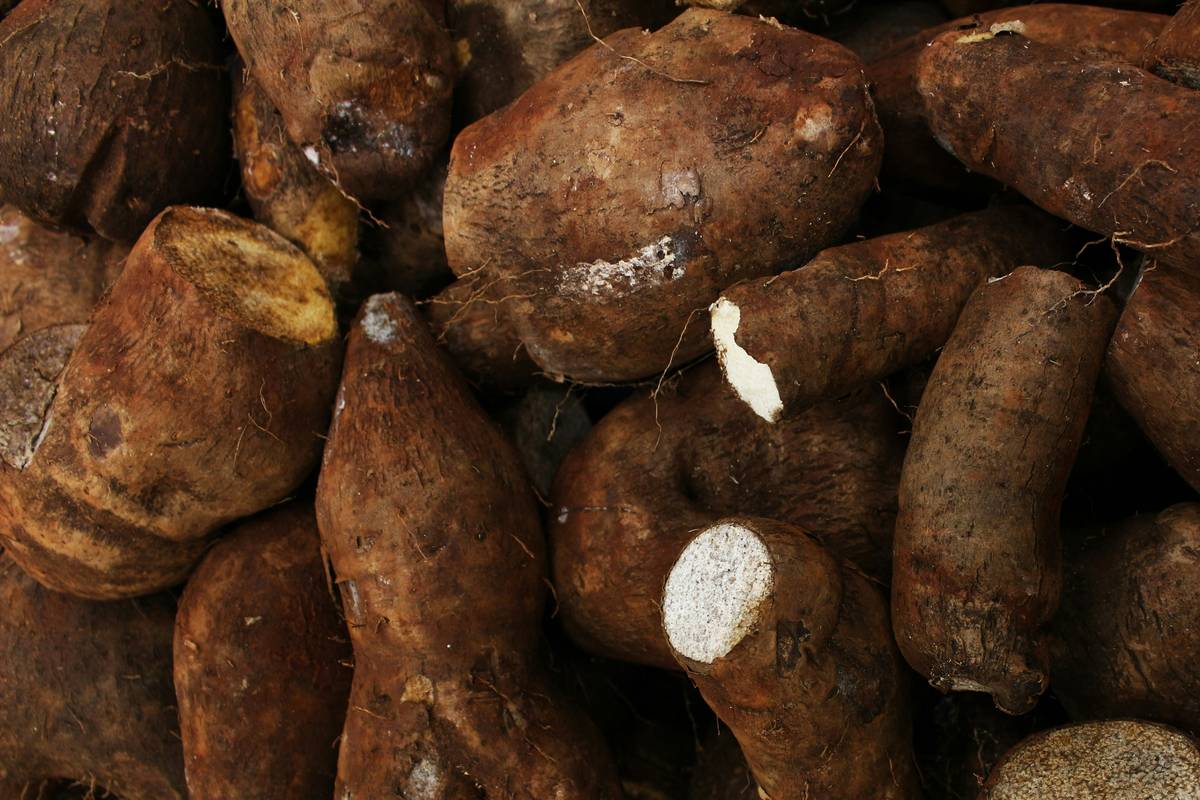 Why Organic Sweet Potatoes Are the Secret Ingredient for Glowing Skin