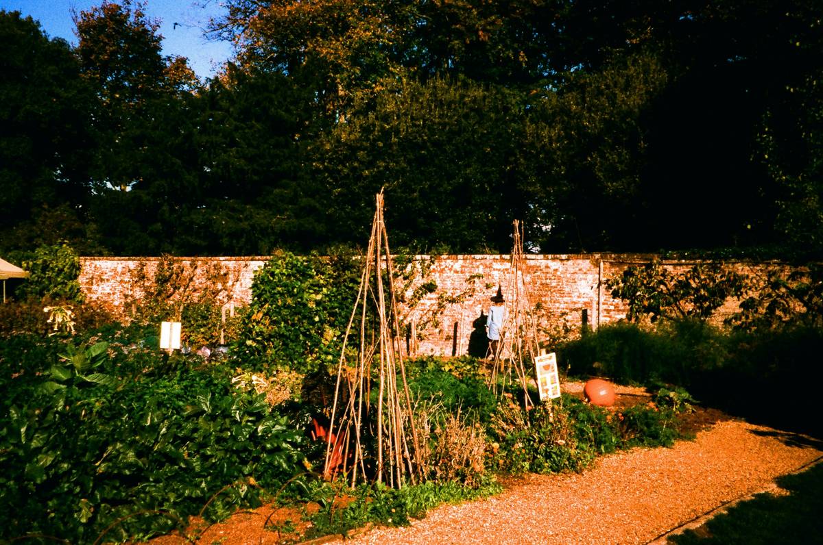 A woman kneeling beside a lush vegetable garden filled with spinach, cucumbers, and herbs.