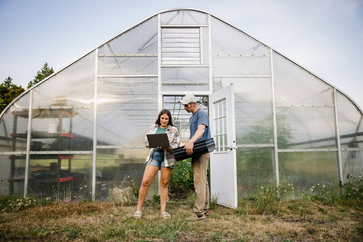 People shopping at a vibrant farmers market