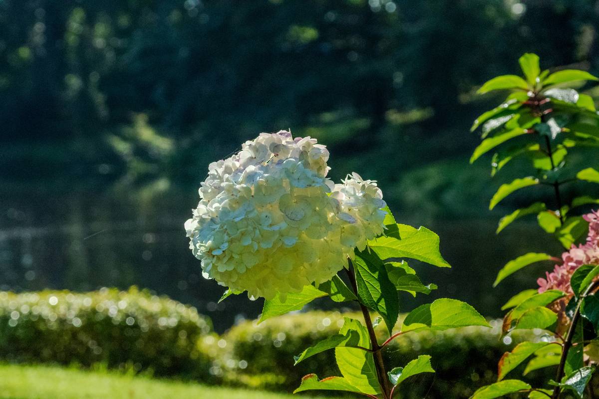 Veggie Health Plan Tip: How to Glow Naturally with Organic Vegetables