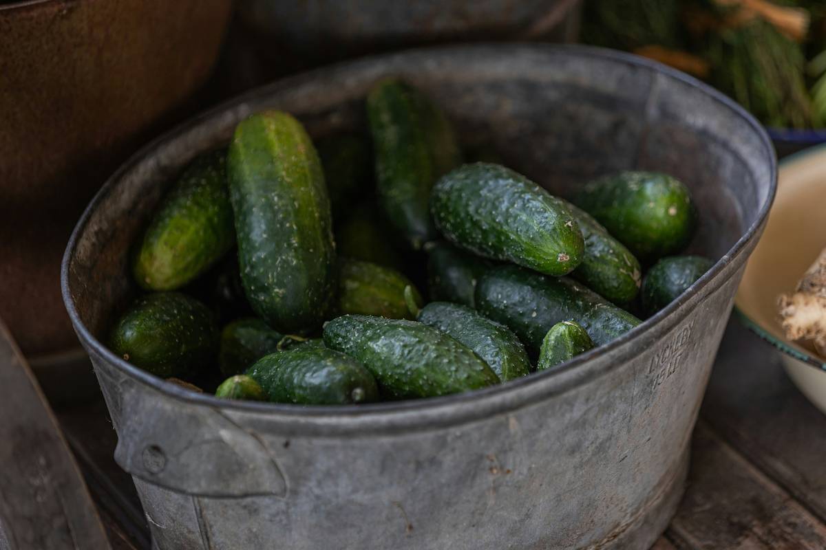 Why Fresh Organic Cucumber Should Be Your Skincare MVP (And How to Use It Like a Pro)