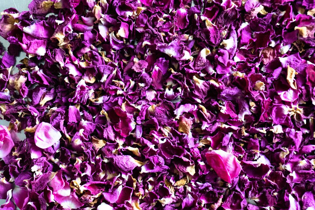 Why Fresh Organic Spinach is Your Skincare MVP: Beauty Secrets from the Garden