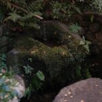 How to Cultivate a Sustainable Organic Plot for Beauty & Skincare Enthusiasts