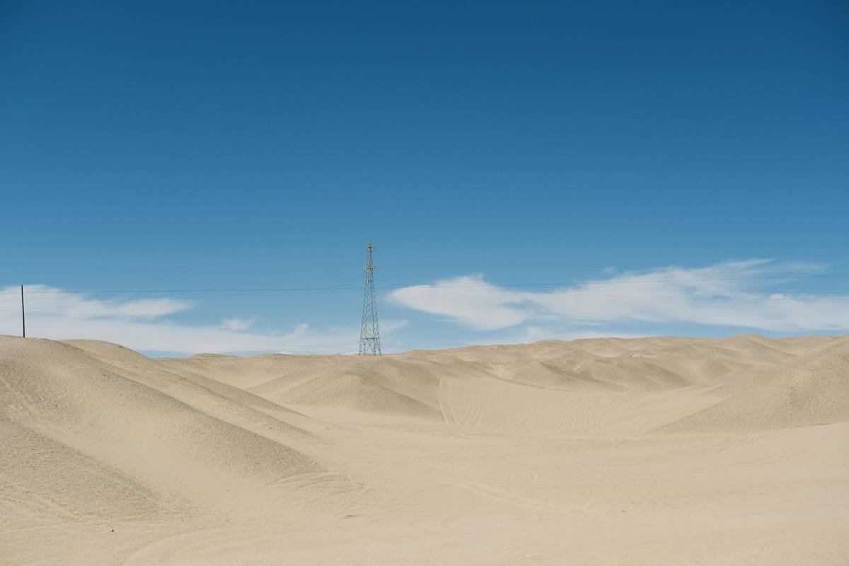 A colorful array of organic vegetables ready to be used in recipes.