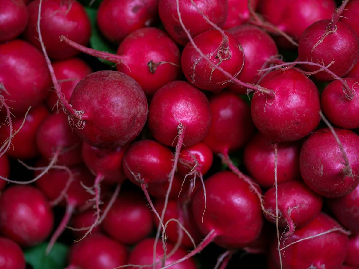 A fresh organic radish placed next to a homemade radish face mask in a bowl.