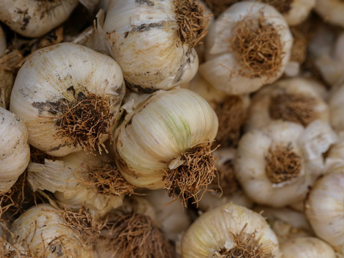 Before and after photos of Jane Doe showing improved skin condition