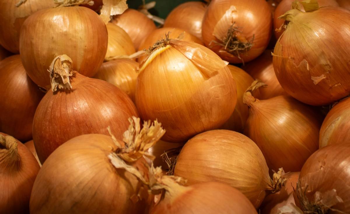 Infographic showing the benefits of organic fresh onions in skincare