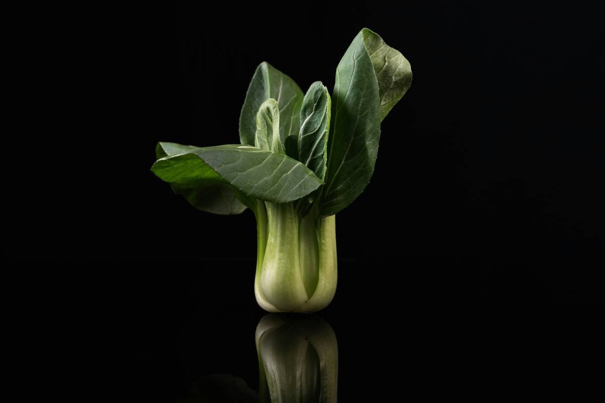How an Eco Vegie Plot Transforms Your Skin—Naturally