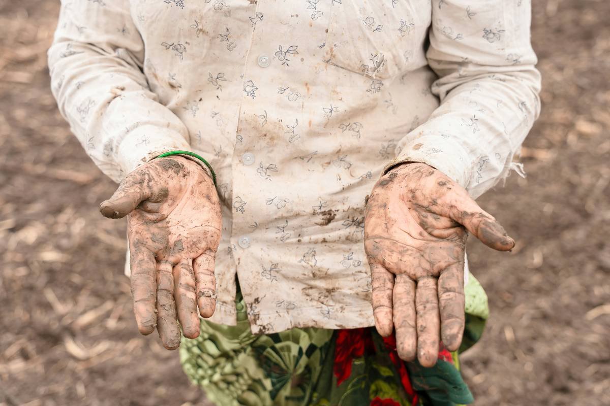 How Eco Farm Technique Transforms Organic Vegetables Into Skincare Superpowers