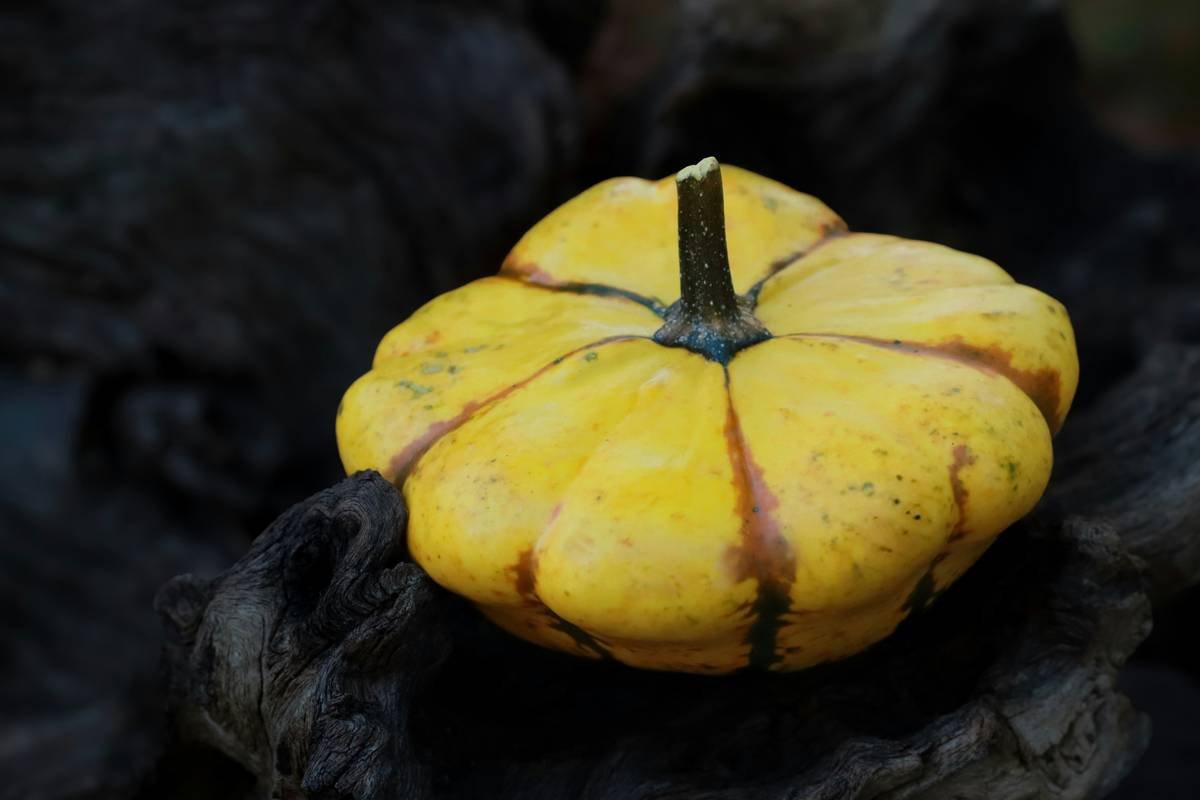 Why Organic Fresh Squash Is Your Skin’s Secret Weapon (and How to Use It Right)