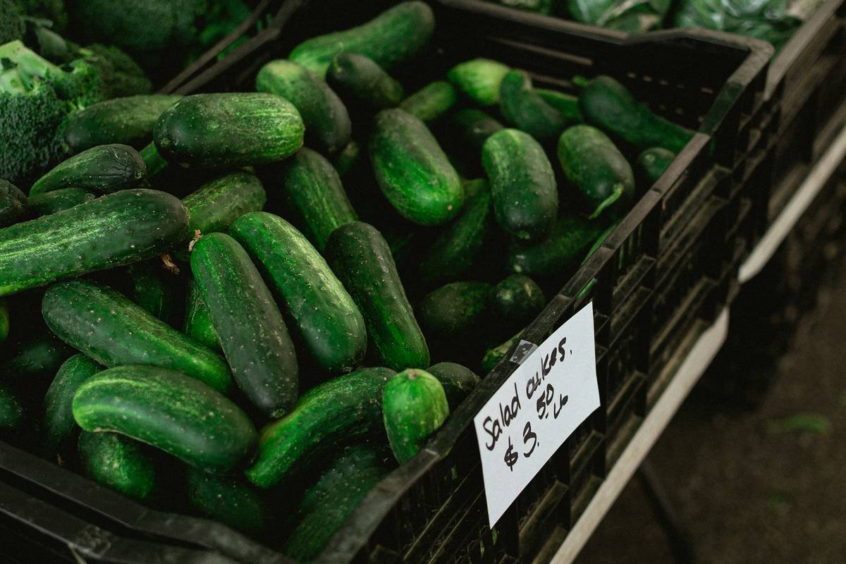 a pile of cucumbers sitting next to each other
