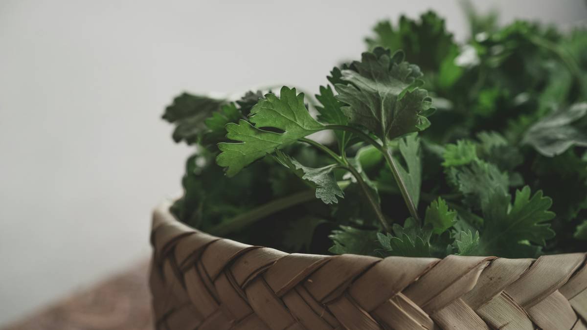 fresh parsley as ingridient