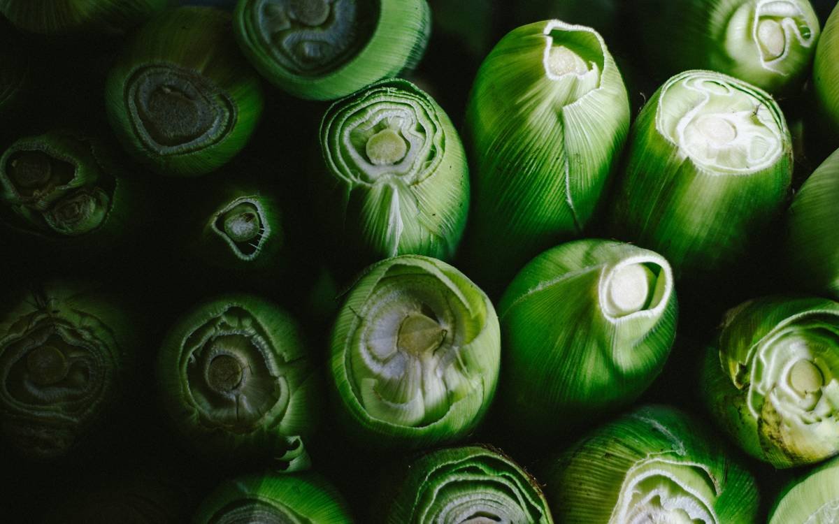 Why Fresh Organic Leek Belongs in Your Skincare Routine (Yes, Really)