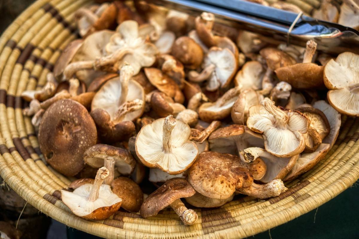 Why Organic Fresh Mushroom Isn’t Just for Soups—It’s Your Skin’s Secret Weapon