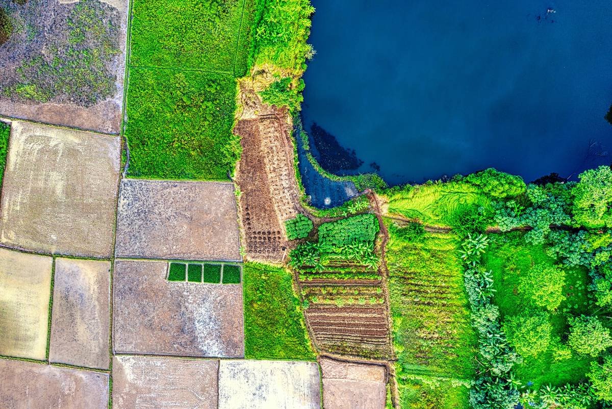 Why Your Organic Skincare Routine Starts with an Eco Farm Plot (And How to Grow One Right)