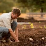 Why Your Skincare Starts in the Soil: The Truth About Sustainable Organic Cultivation