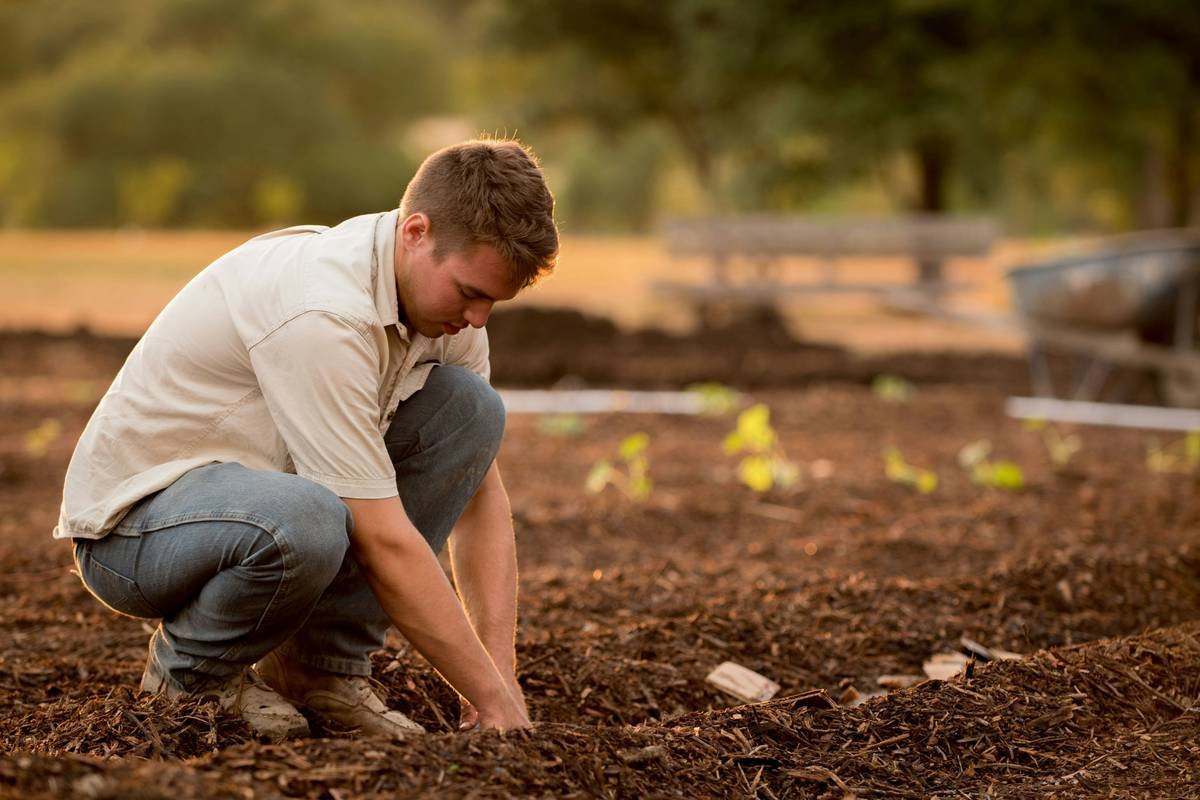 Why Your Skincare Starts in the Soil: The Truth About Sustainable Organic Cultivation