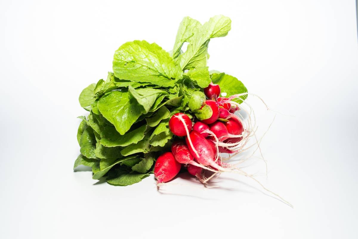 A bunch of radishes with leaves on a white background