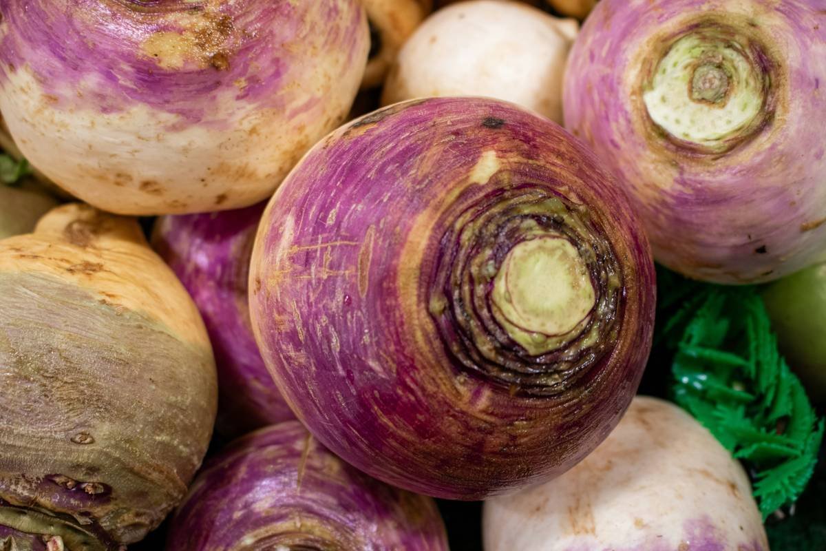 Bar chart comparing antioxidant levels in fresh organic vs conventional turnips showing organic has 30% more phenolics